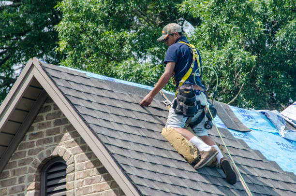 Best Residential Roof Replacement  in Crested Butte, CO